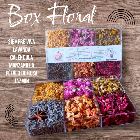 Box Floral