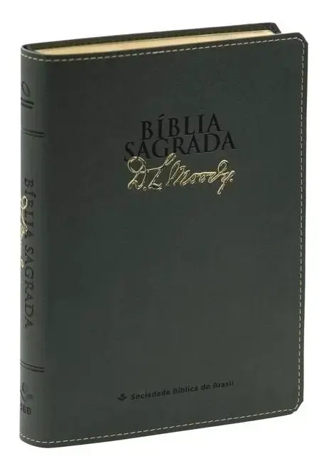 Bíblia Sagrada | NAA | D.L. Moody | Cinza Capa Luxo