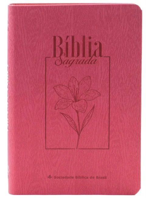 Bíblia Sagrada | NAA | Letra Grande | Legno Goiaba | Capa Luxo