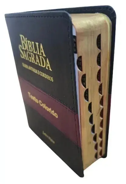 Bíblia Letra Maior formato compacto com Harpa ARC Full Color Premium Bicolor Preta e Vinho com Índice
