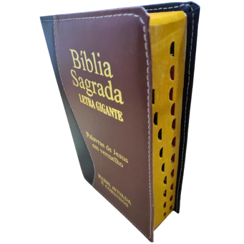 Biblia Letra Gigante com Harpa Crista e Corinhos Bicolor Premium Marrom e Preto RC