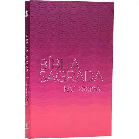 Biblia Sagrada Brochura Capa Vinho NVI