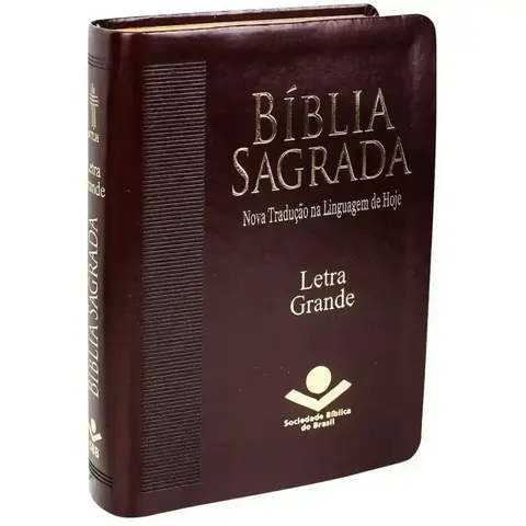 Bíblia Sagrada Letra Grande Marrom NTLH