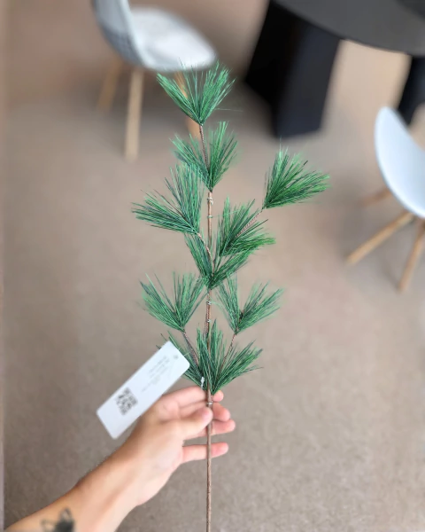 Galho de pinheiro