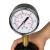 Regulador de Pressao de Fluido 0-6 Bar FM