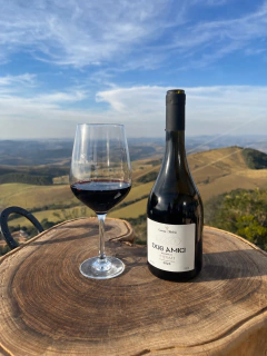 Due Amici - Syrah - 2025 na internet
