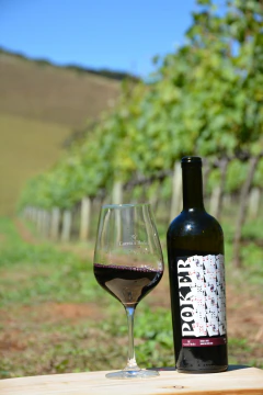 Poker - Syrah - 2025 - comprar online