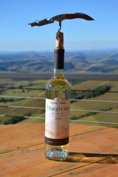 Mantivino - Sauvignon Blanc - 2025 - comprar online