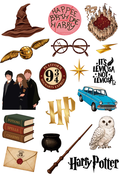 Estampa 290 Harry Potter
