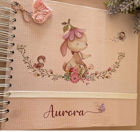 Livro do Bebê Coelhinha