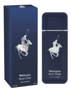 Perfume Wellington Polo Club Azul Eau De Parfum 90 Ml - comprar online
