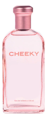 Cheeky Pretty Girls X 100ml - Perfume Lata Para Nenas - Nouvelle factory