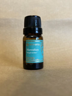 Imagen de Hornillo grande + esencia