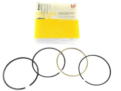 Jogo Anel STD Para 1 Cilindro Sprinter 313 312 413 2.2 16v