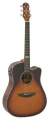 Violao Strinberg Sd200C Hbs Folk Fosco