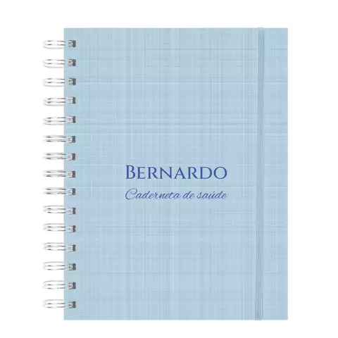 Caderneta de Vacinação - Minimalista Azul - comprar online