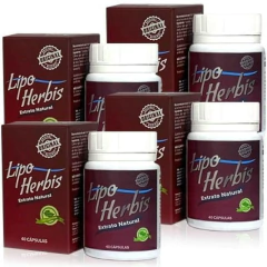 Lipo Herbis (4 unidades) - comprar online