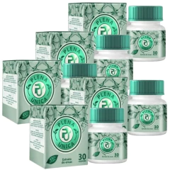 Plena Única Tradicional (5 unidades) - comprar online