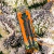 Hemps Wraps Lion Rolling "Terpenes" - tienda online