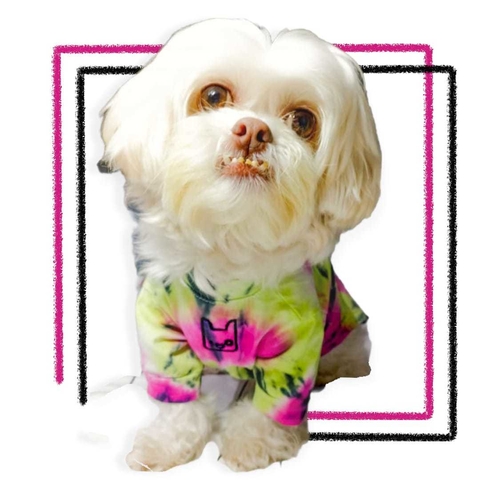 Camiseta Pet Tie Dye Neon Power