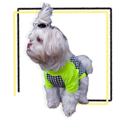 Camiseta Pet T-shirt Beachwear Bali Green Neon
