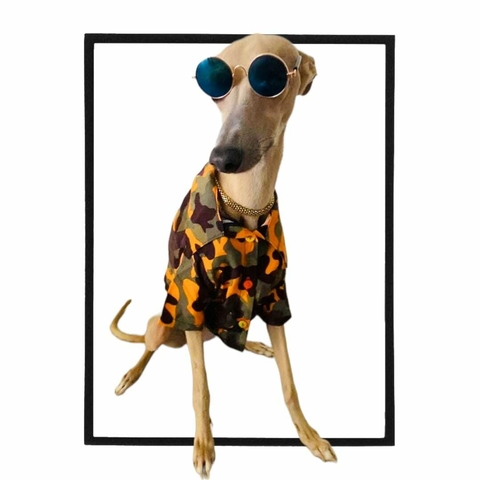 Camisa Pet Orange Forest