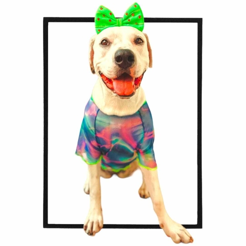 CAMISETA PET TULE PSY BLUE