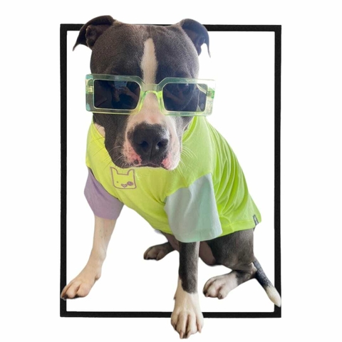 CAMISETA PET MY BEST FRIEND GREEN - comprar online