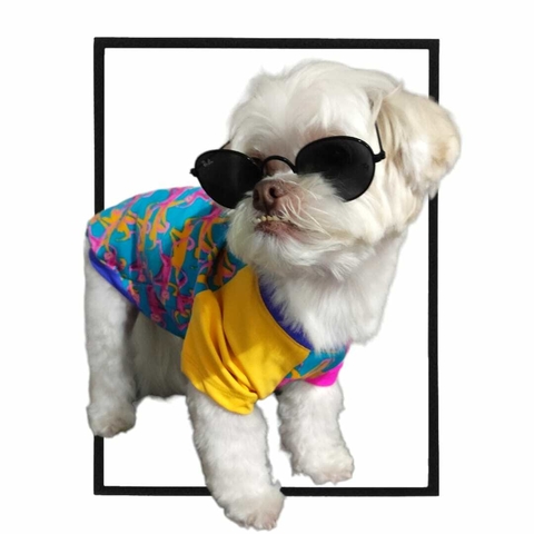 CAMISETA PET MADAGASCAR PROTEÇÃO UV 50+ - comprar online