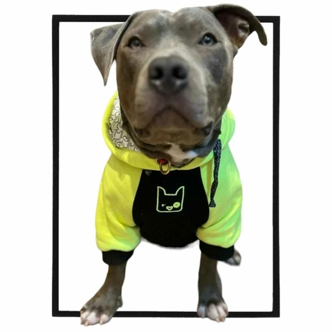Moletom Pet Space Yellow