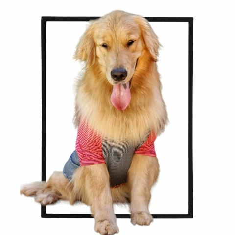 Camiseta Pet T-shirt Color Pink
