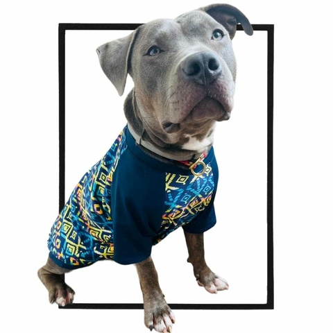 CAMISETA PET HAVAÍ PROTEÇÃO UV 50+