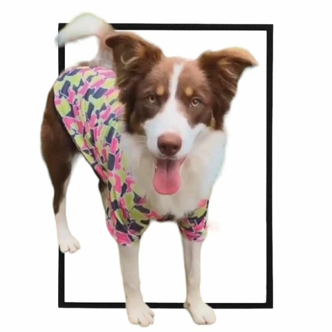 CAMISETA PET MAY VIBES