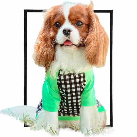 CAMISETA PET SANDS GREEN UV 50+ - comprar online