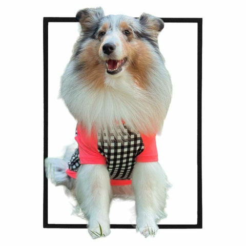 CAMISETA PET SANDS SALMON UV 50+ - comprar online