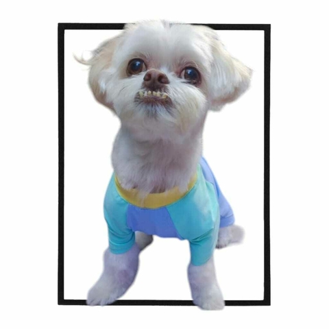 CAMISETA PET FLOC UV 50 + - comprar online