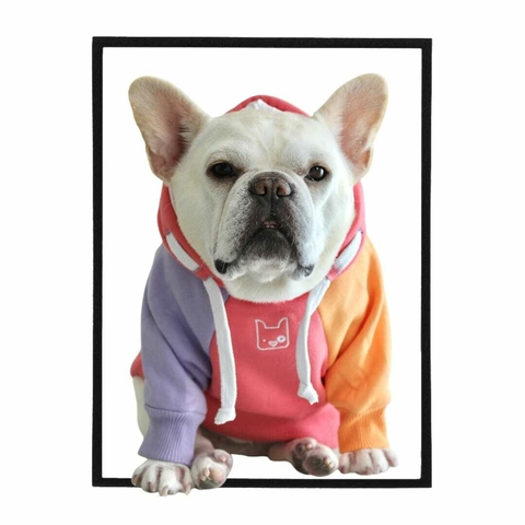 MOLETOM PET FLUFFY GUAVA - comprar online