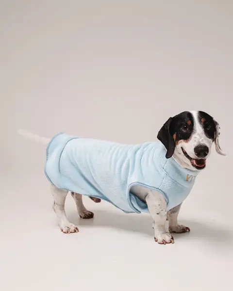 Dachshund Fleece Azul Claro