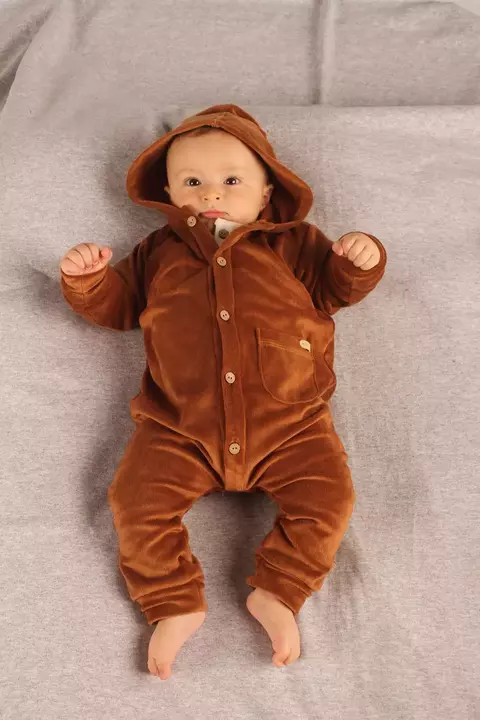 ENTERO FELIX CHOCOLATE - comprar online