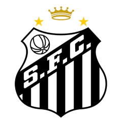 Categoria 11