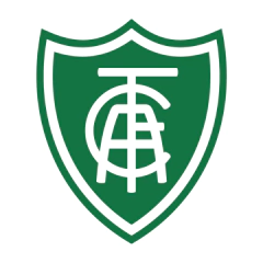 Categoria 7