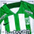 Camiseta NACIONAL 2026 en internet