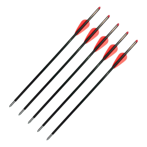 Flechas Fibra Carbono 12 '' Ballesta Punta Metálica X5