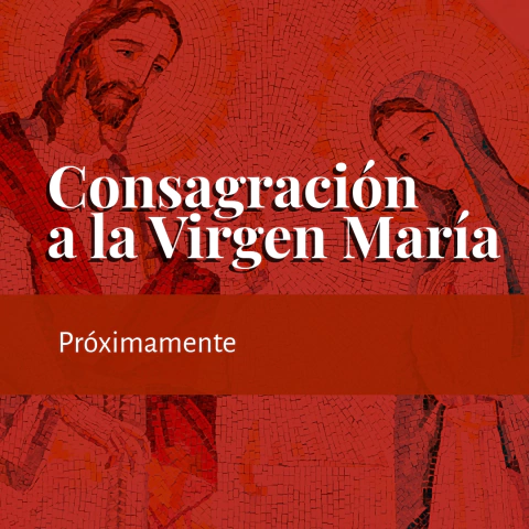 Consagración a la Virgen María | Próximamente - comprar en línea
