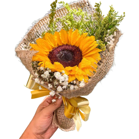 1 Girassol Exuberante