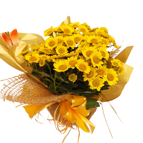 Arranjo de margarida