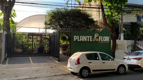 Vídeo de Entrega de Flores em Goiânia - Buquês | Plante uma Flor