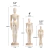 Muñeco Articulado Madera 22 Cm Xin Bowen Para Dibujo - comprar online