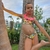Bikini Selva Amarilla