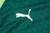 Conjunto Palmeiras Treino 24/25 - Masculino Puma - Verde - SQUADRA